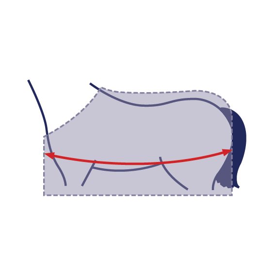 Measuring Your Horse For a Blanket