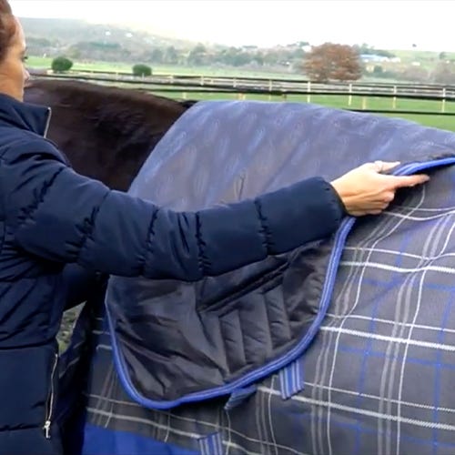 How to Fit Your Horse Blanket