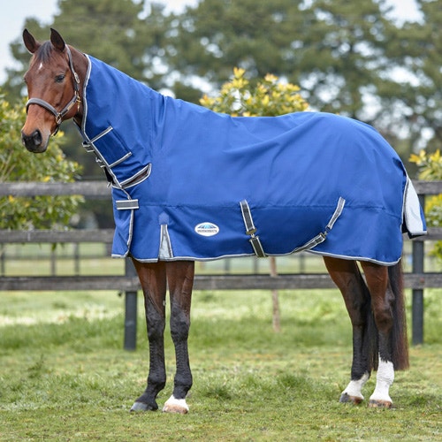 Why Blanket Your Horse