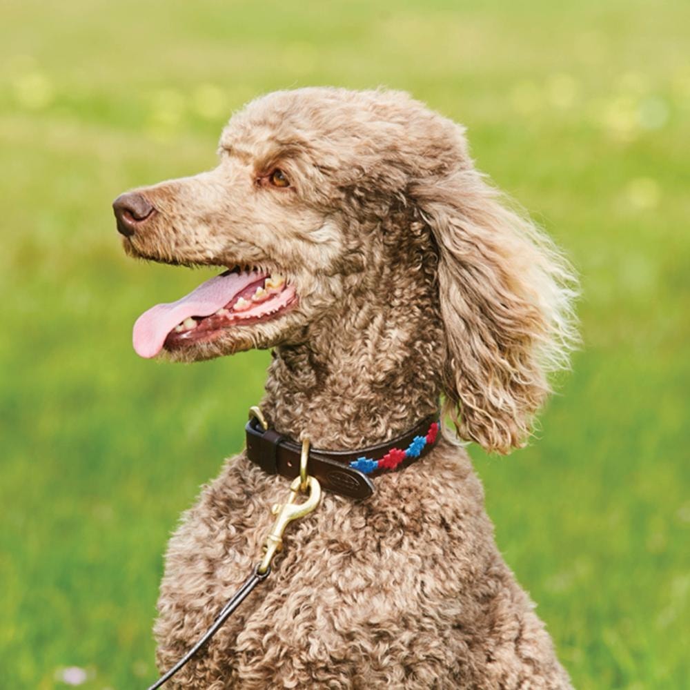 WeatherBeeta Polo Leather Dog Collar Size Chart