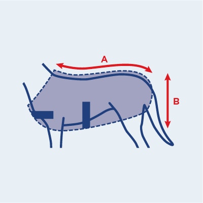 Dog Coat Size Guide