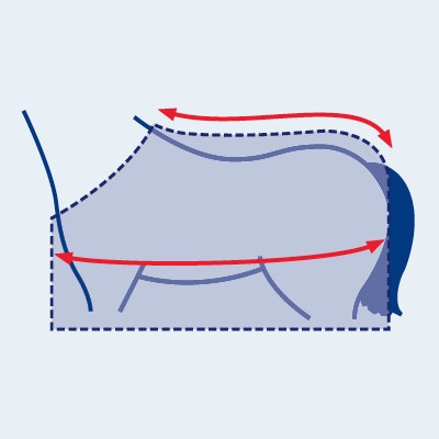 Horse Blanket Size Chart Guide