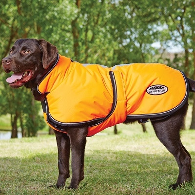 WeatherBeeta Deluxe Parka Dog Coat Size Chart