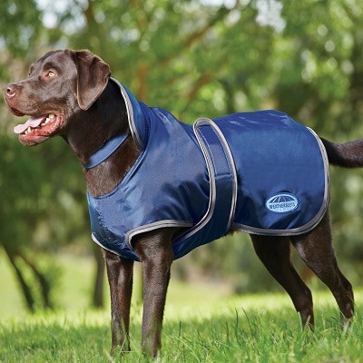 WeatherBeeta Deluxe Windbreaker Size Chart