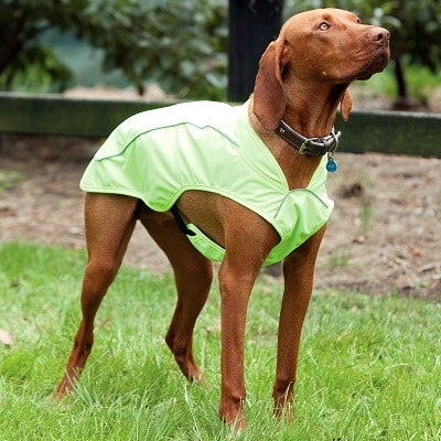 Generic Size Chart for all WeatherBeeta Dog Coats