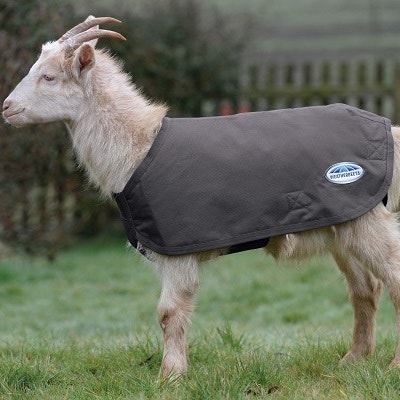 WeatherBeeta Goat Coat Size Chart
