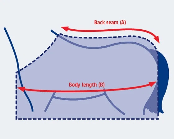 How to measure your horse blanket