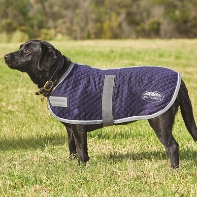 WeatherBeeta Thermic Dog Coat Size Chart