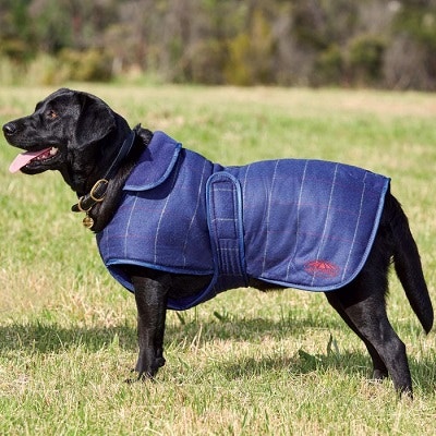 WeatherBeeta Tweed Dog Coat Size Chart