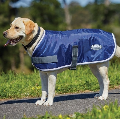 WeatherBeeta Windbreaker Size Chart