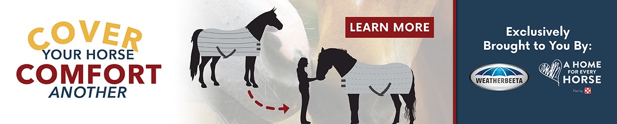 Cover Your Horse Comfort Another