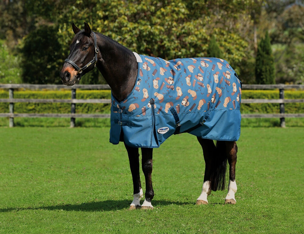 Weatherbeeta rugs hotsell