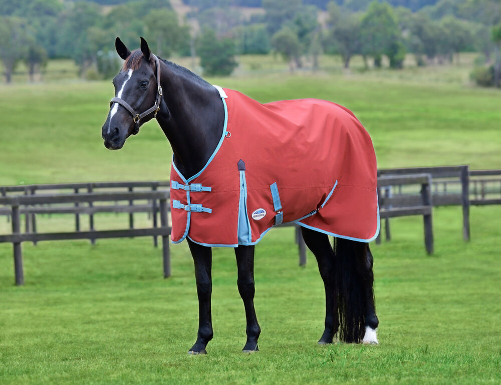  ComFiTec Essential Standard Neck Lite