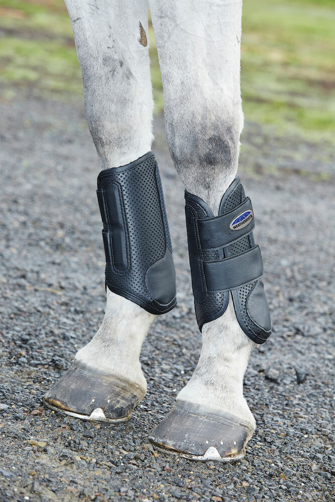 Weatherbeeta eventing boots shop