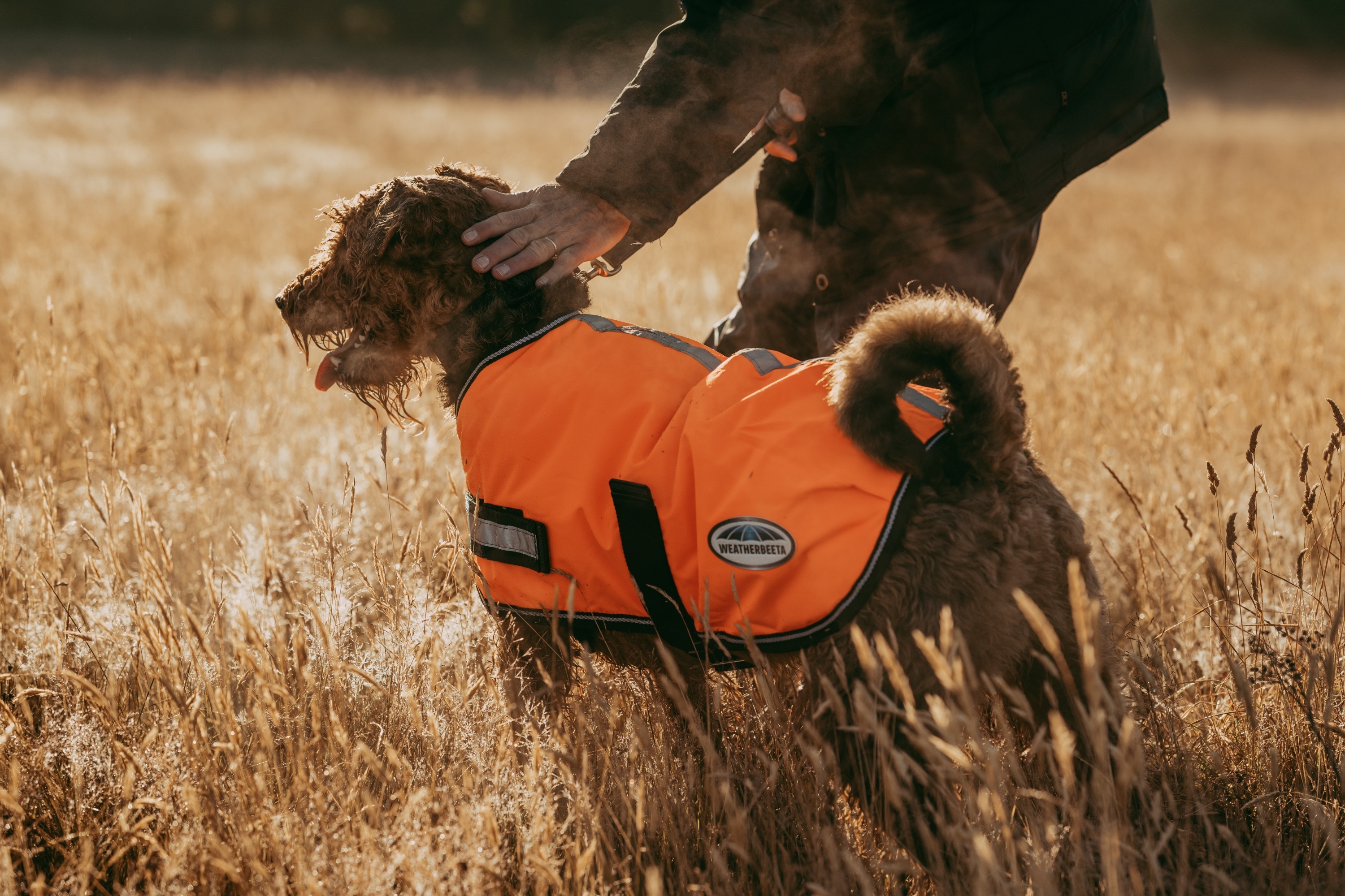 Weatherbeeta reflective parka 300d deluxe dog coat top
