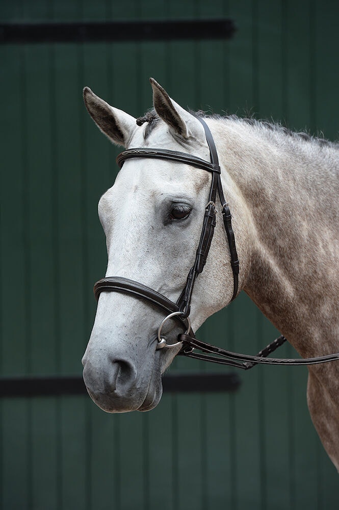 Mono Crown Fancy Stitched Raised Cavesson Bridle