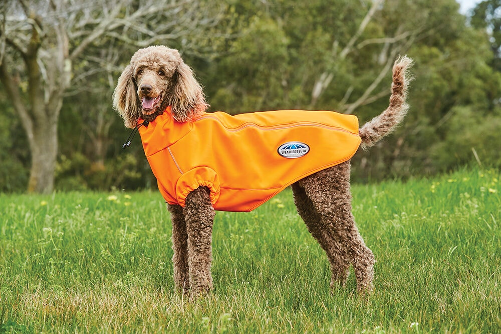 Weatherbeeta rainstop outlet dog coat