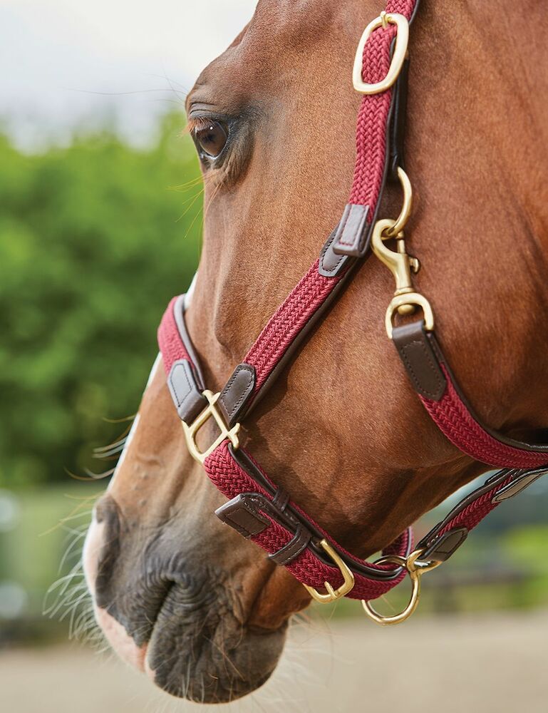 Braided Leather Breakaway Headcollar - | WeatherBeeta