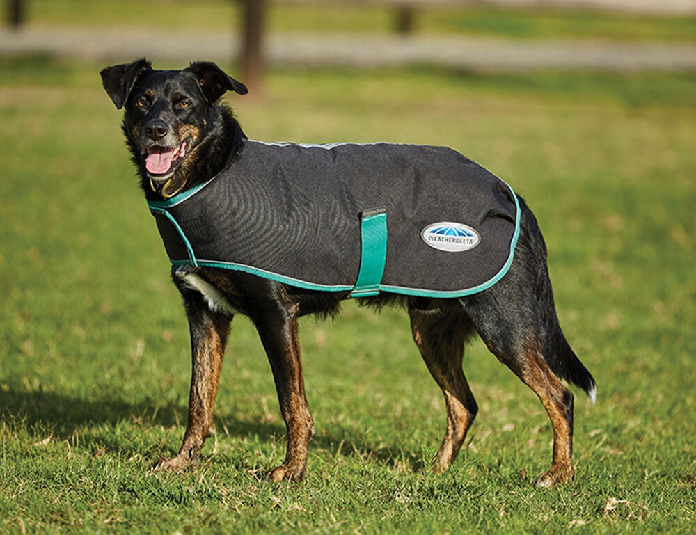 Weatherbeeta fleece zip dog cheap coat