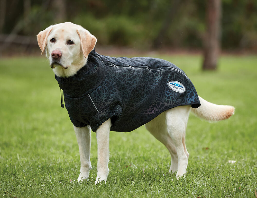 Weatherbeeta reflective dog hotsell coat