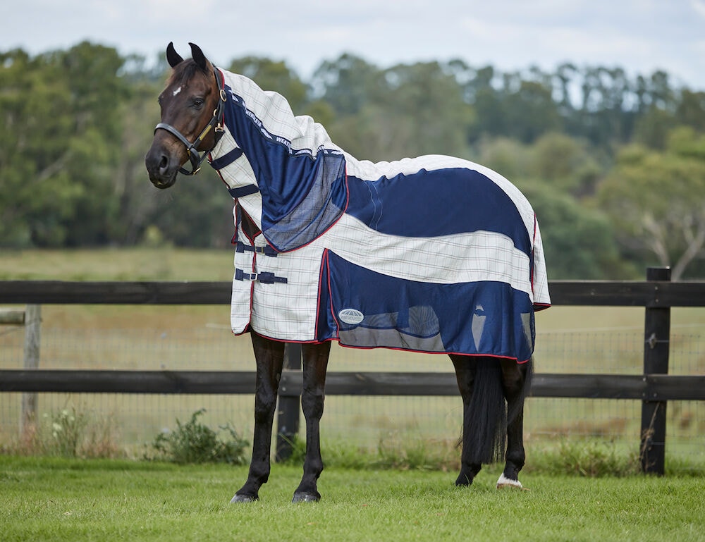  Breeze With Surcingle IV Combo Neck