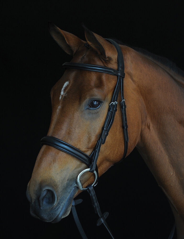 Comfort Crown Padded Raised Cavesson Bridle - | WeatherBeeta
