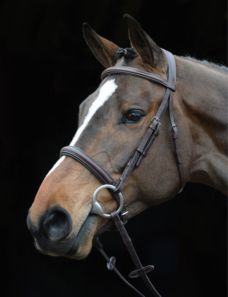 Comfort Crown Padded Raised Cavesson Bridle - | WeatherBeeta