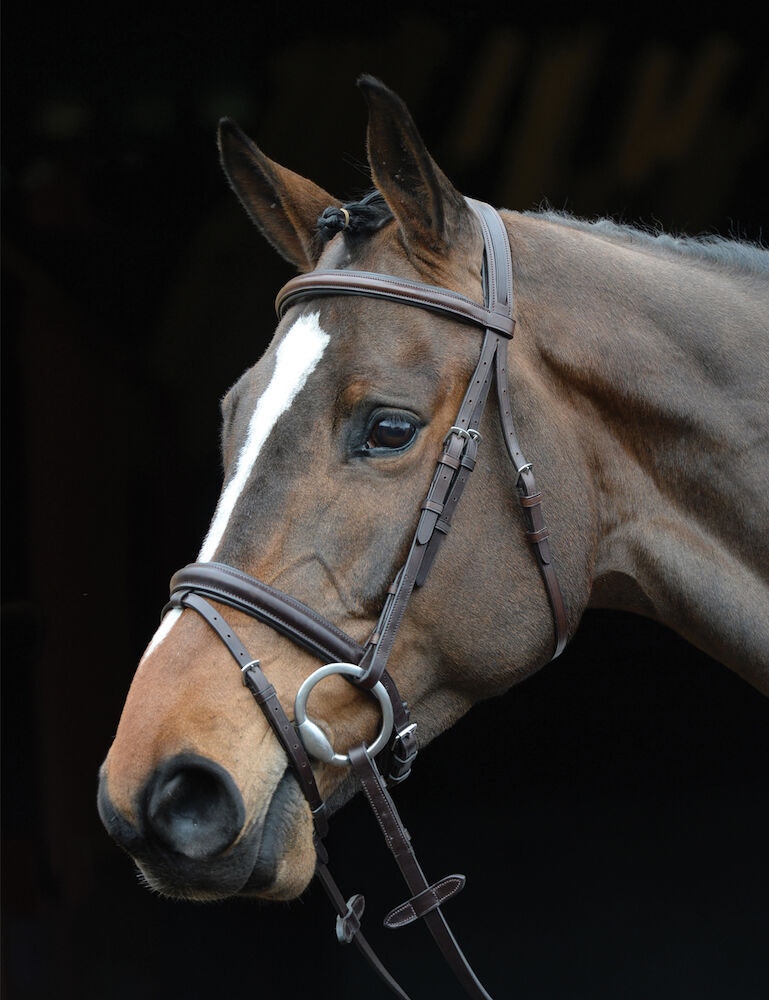 Comfort Crown Padded Raised Flash Bridle
