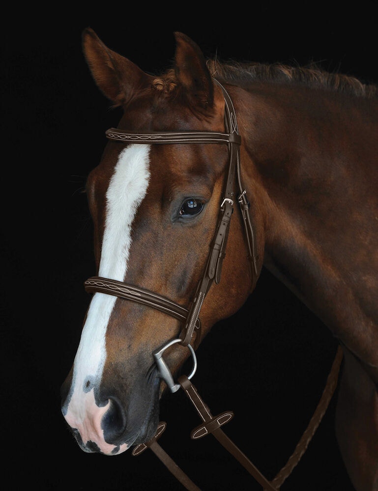 Mono Crown Fancy Stitched Raised Cavesson Bridle