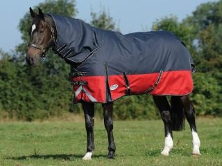 Horse wearing ComFiTec Plus Dynamic II blanket