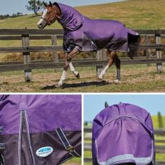 Collage of horse wearing WeatherBeeta Plus Dynamic Blanket