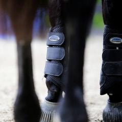Close up of horse's legs wearing WeatherBeeta brushing boots