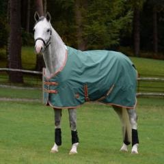 Horse wearing WeatherBeeta horse turnout blanket