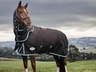 Horse wearing WeatherBeeta new Ultra Comfi rug standing in a field