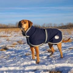 Dog standing in snow wearing WeatherBeeta Parka Dog Coat