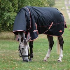 Horse grazing while wearing WeatherBeeta Therapy-Tec blanket