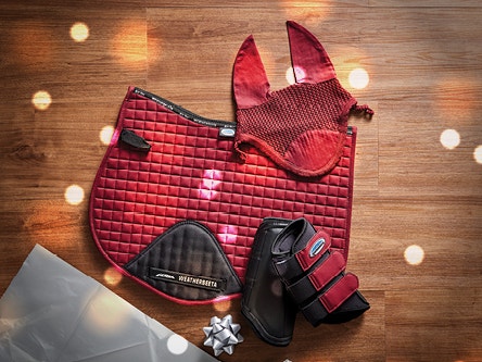 25% off WeatherBeeta Dog Coats