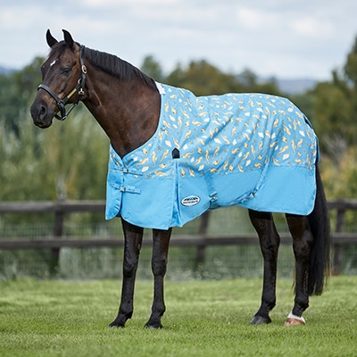 Weatherbeeta rugs discount