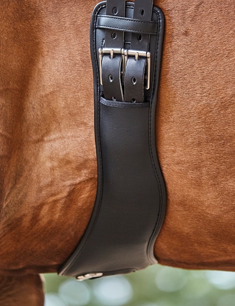 Close up shot of Collegiate girth