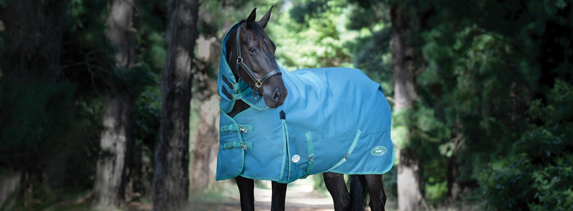 Horse wearing green-tec rug