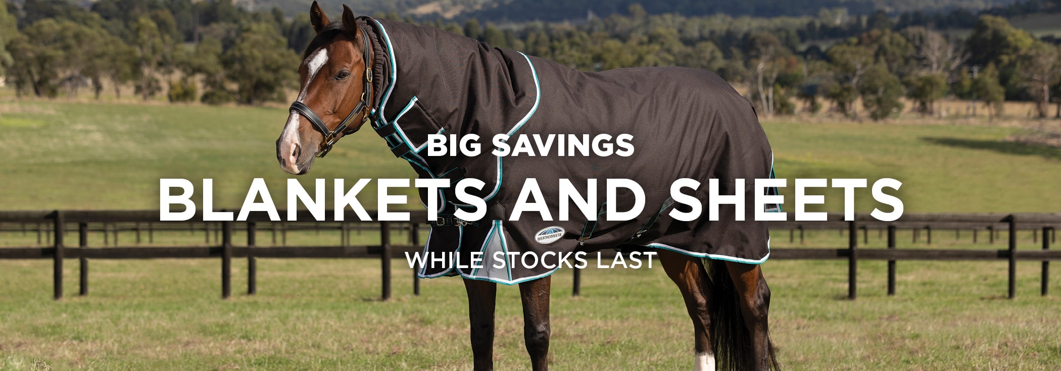 Shop Blankets