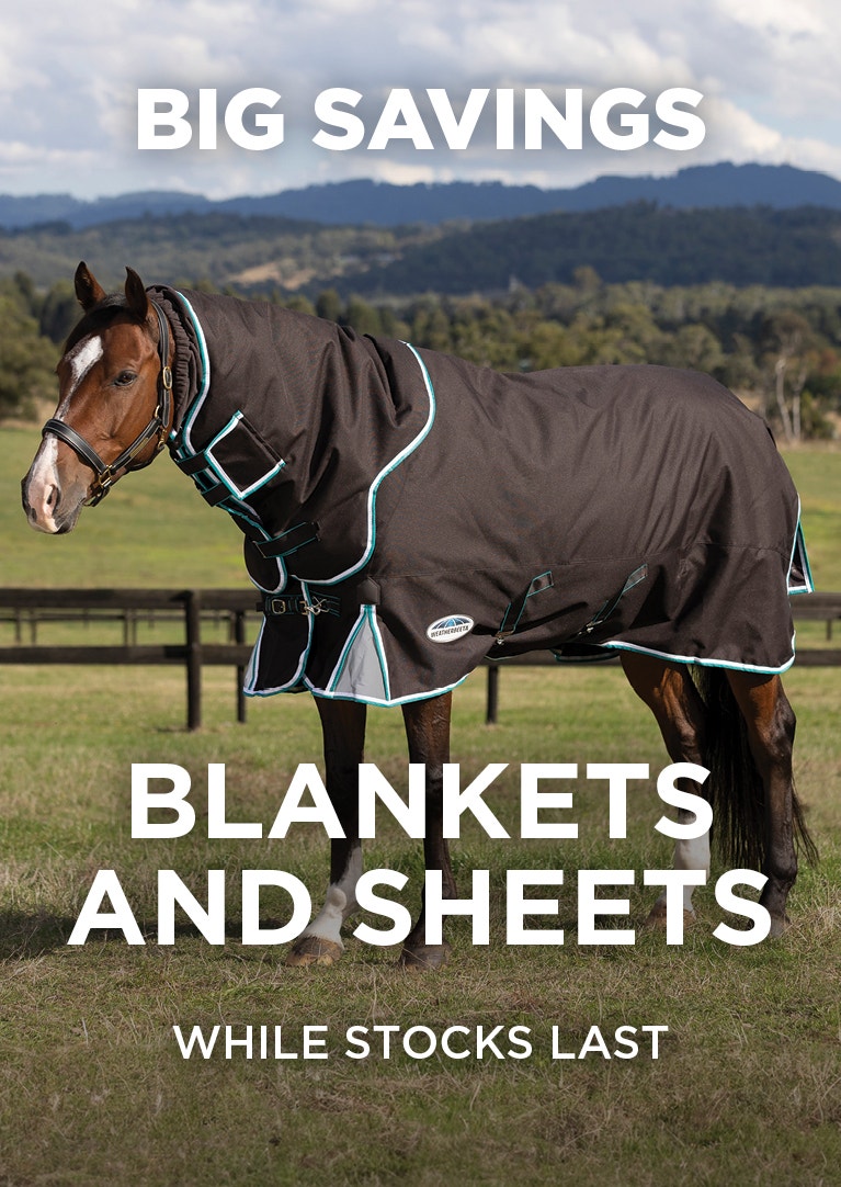 Shop Blankets