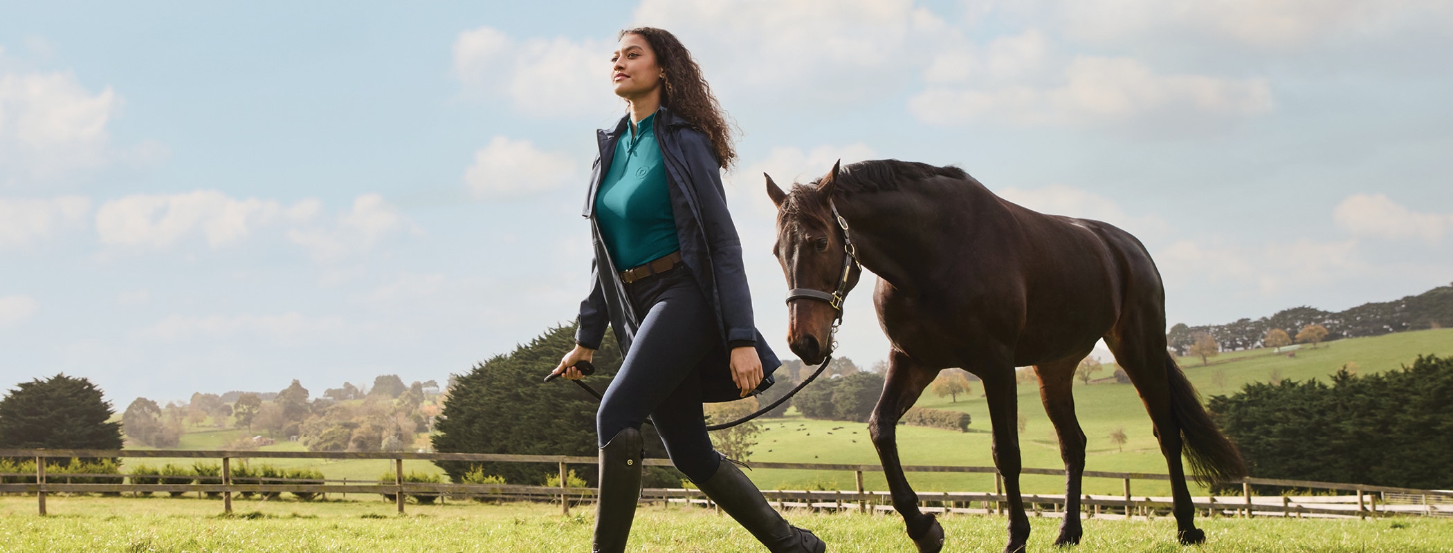 Horse clothing websites store