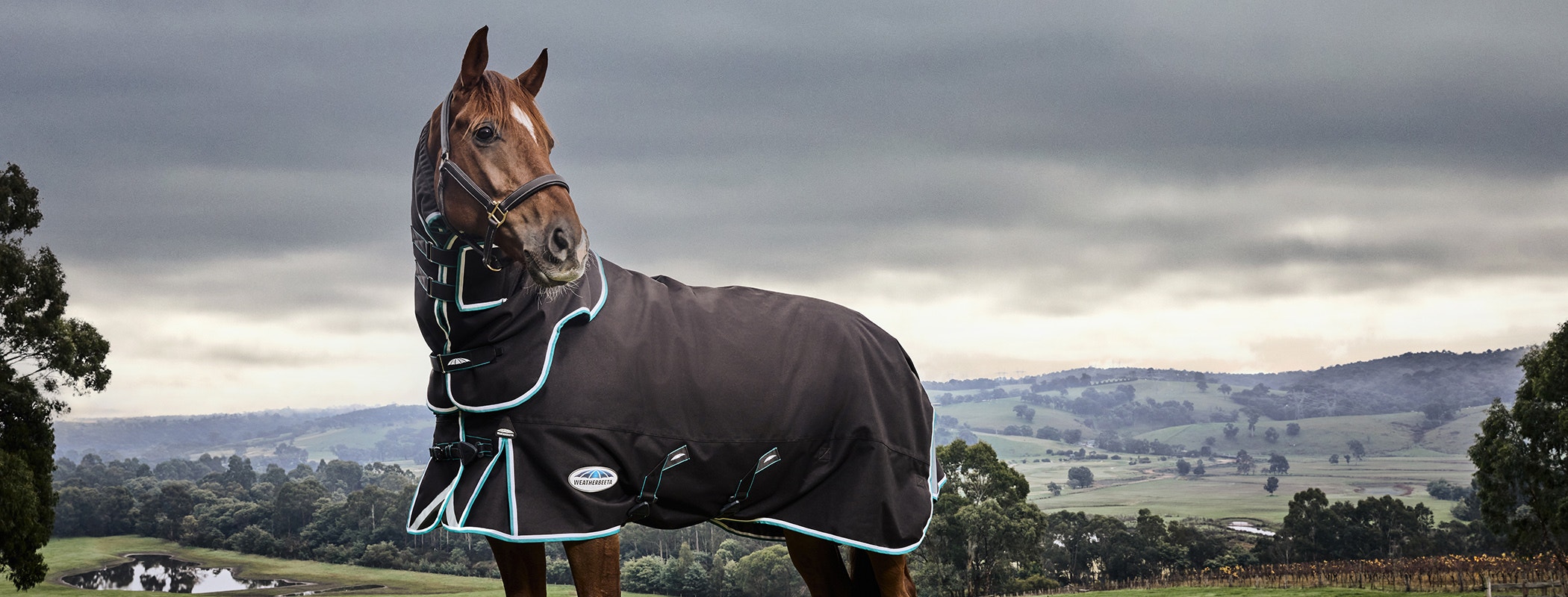 Woman wearing Dublin clothing walking a horse through a field