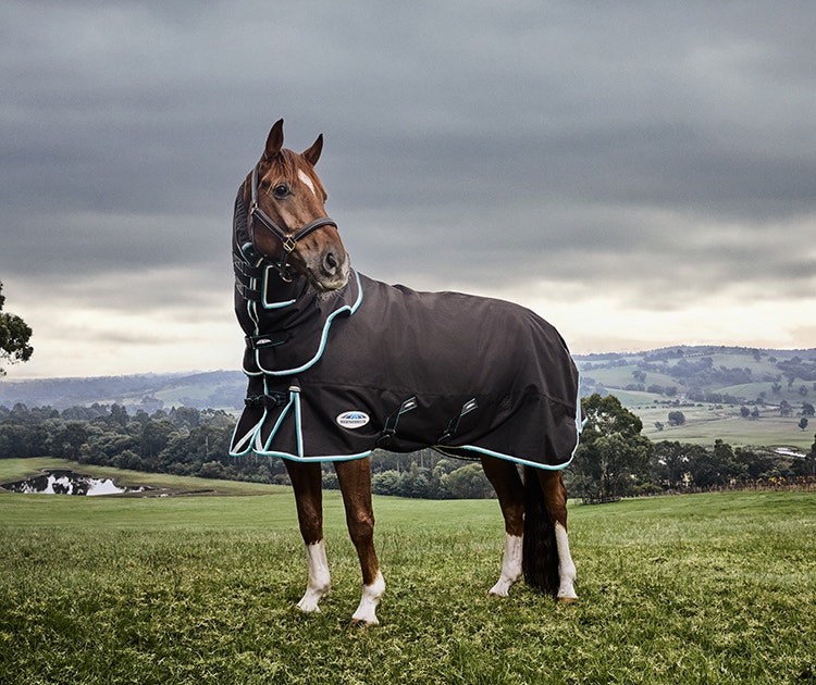 Woman wearing Dublin clothing walking a horse through a field