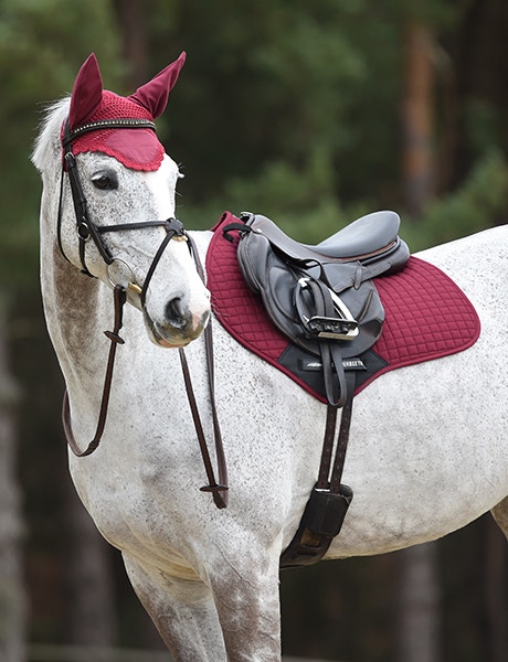 Grey horse wearing red saddle pad