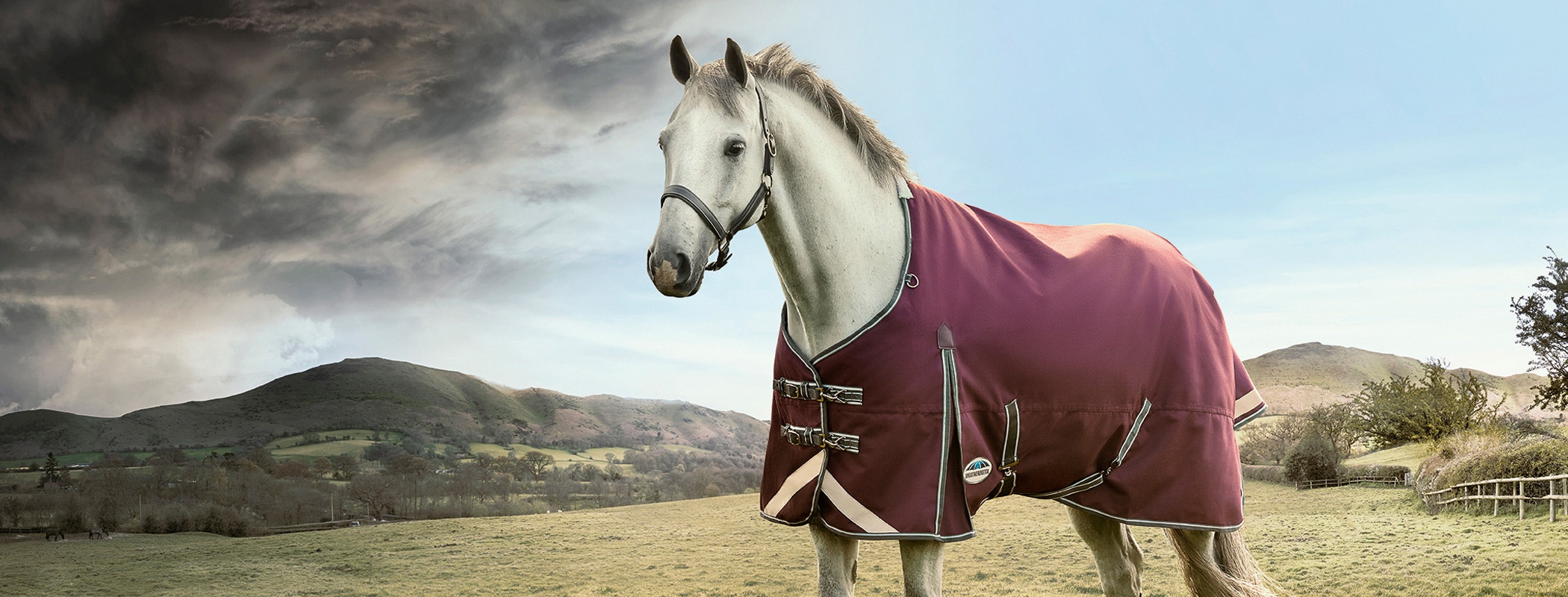 Horse wearing WeatherBeeta turnout blanket standing under a stormy and blue sky