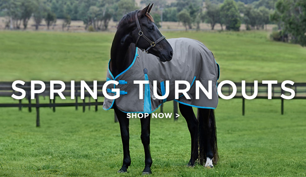 WeatherBeeta Turnout Blankets