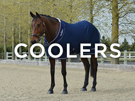 Coolers & Fleece Blankets