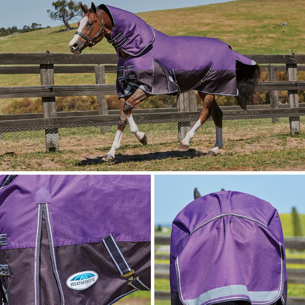 Collage of horse wearing WeatherBeeta Plus Dynamic Blanket